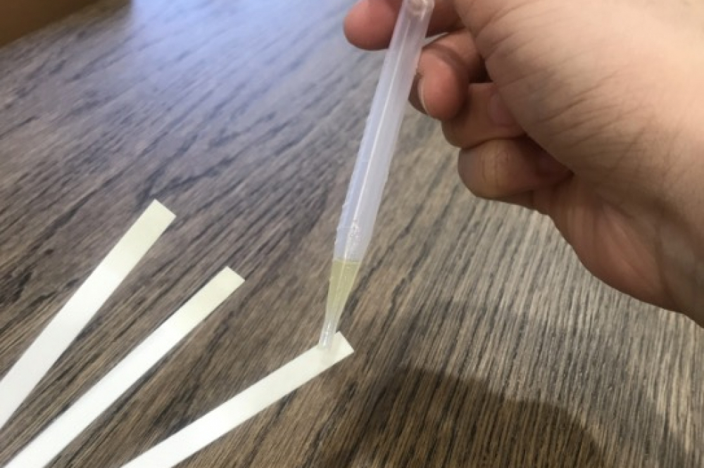 オーガニック精油に触れるお試し精油3本セット【2ml×3本】