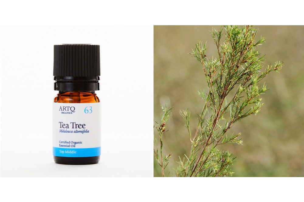 セルフケア精油セット【免疫維持】