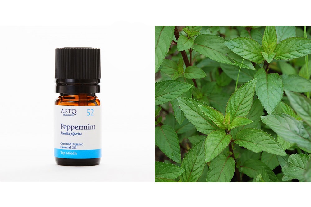 セルフケア精油セット【疲労】