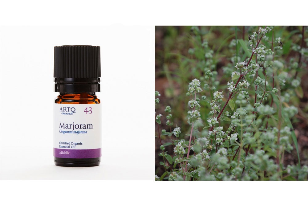 セルフケア精油セット【睡眠】