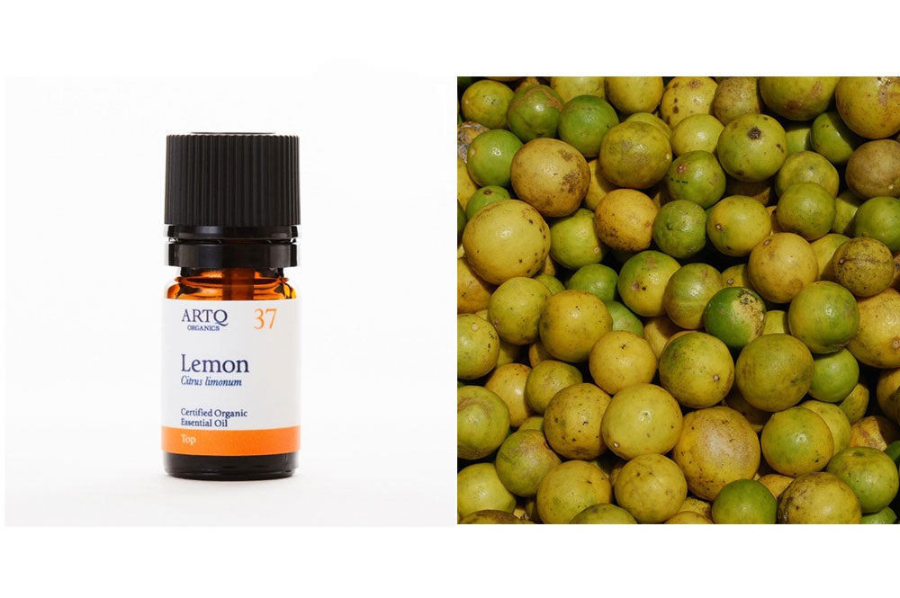 セルフケア精油セット【呼吸】