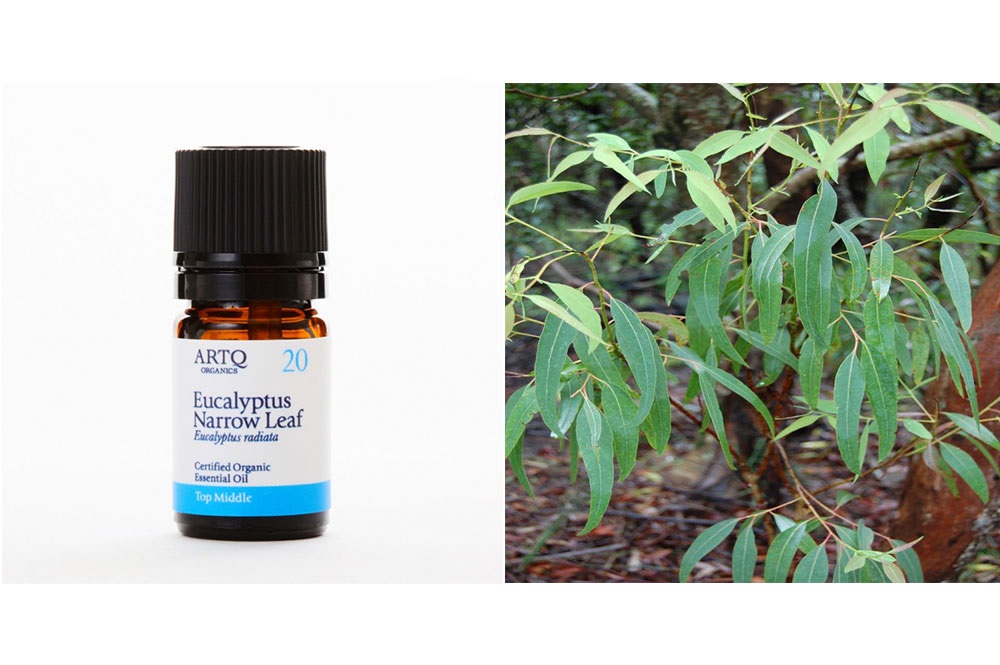 セルフケア精油セット【呼吸】