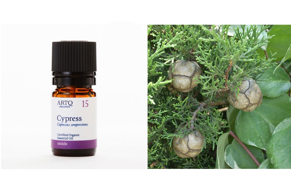 セルフケア精油セット【循環・むくみ】