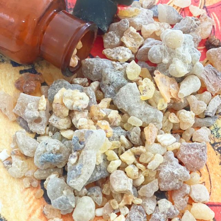 フランキンセンス2025 ホリデーセット