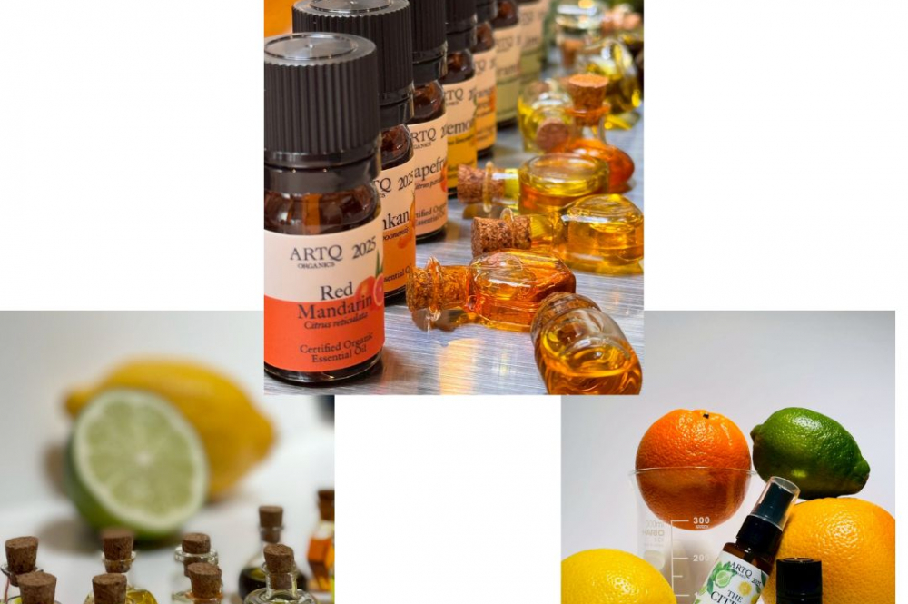 THE CITRUS ブレンド精油