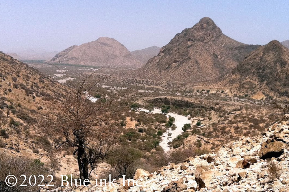 フランキンセンス カルテリ2025・オーガニック認証精油