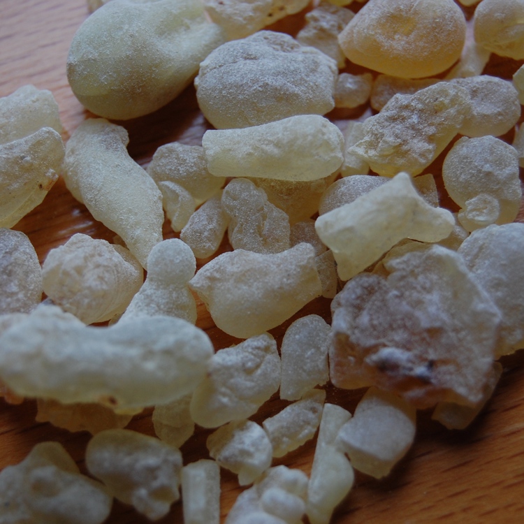 フランキンセンス フレレアナ2025