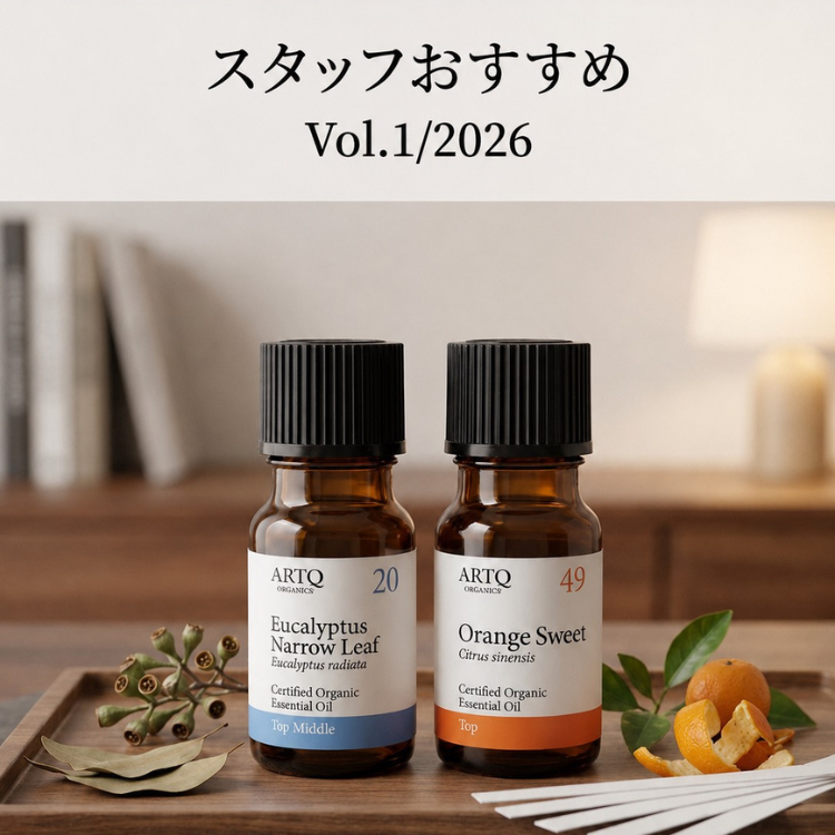 【期間限定】スタッフおすすめセットVol.1